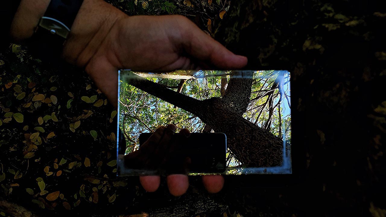 Fotografia criativa com smartphone - Reflexos